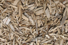 biomass boilers Ardalanish